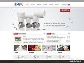 松江網站建設與推廣 從制作到維護的全方位指南